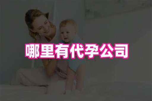 国际助孕网 2