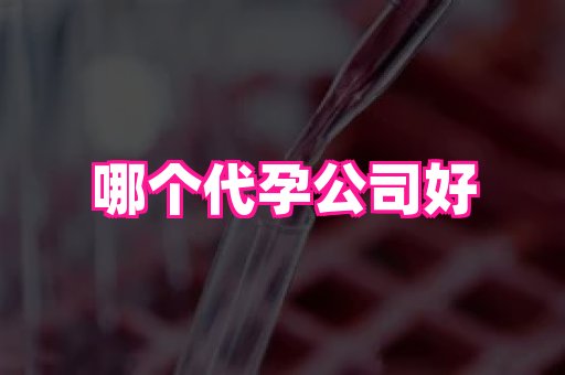 国际助孕网 3