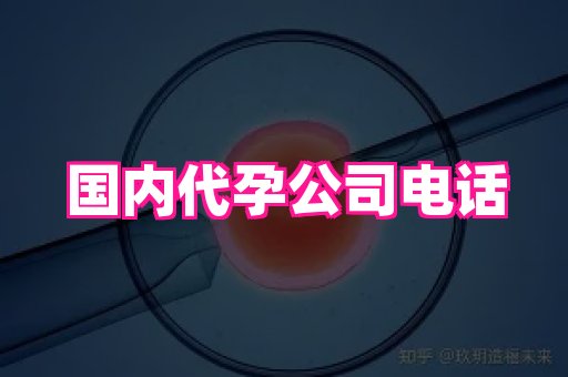 国际助孕网 4